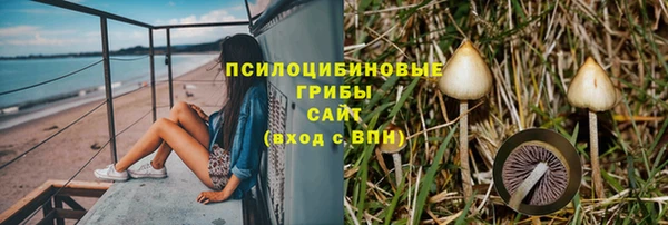 каннабис Алексеевка