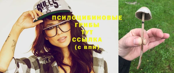 jwh Абаза