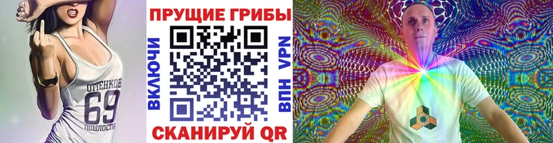 мега онион  Спас-Клепики  Псилоцибиновые грибы прущие грибы 